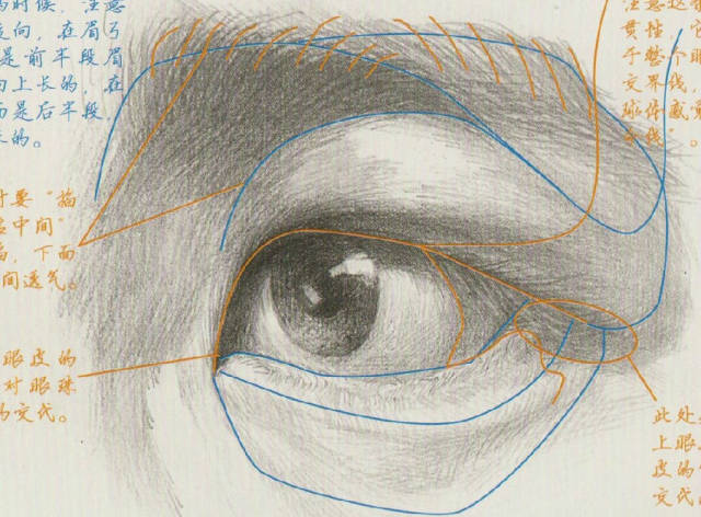 素描眼部结构刻画与详解