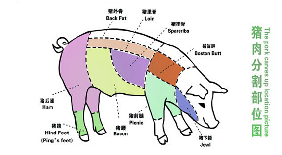 这是猪身上最好吃的部位,每头猪只能取出二两左右