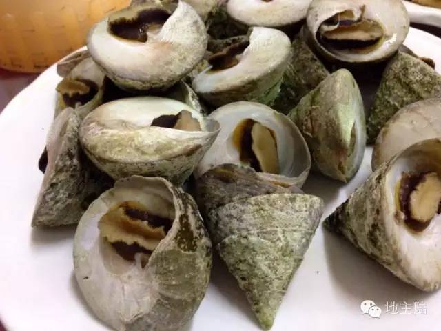 还有种梯螺也不错石蚝(壳真厚,感觉买10斤石蚝只能吃到半斤肉)竹蛏