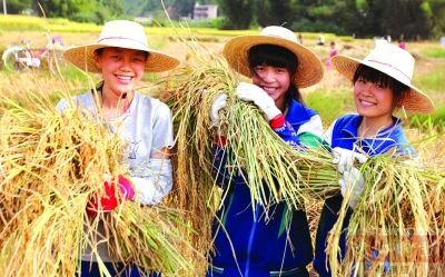 深圳军事夏令营 深圳有哪些好必一运动官网的夏令营(图1)