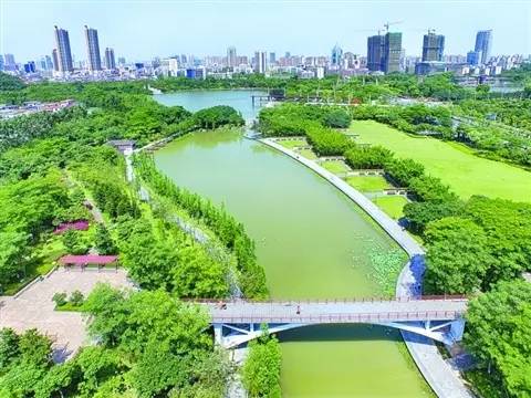 大沥镇九龙公园 听音湖公园 顺德区 佛山新城滨河景观带 顺峰山公园