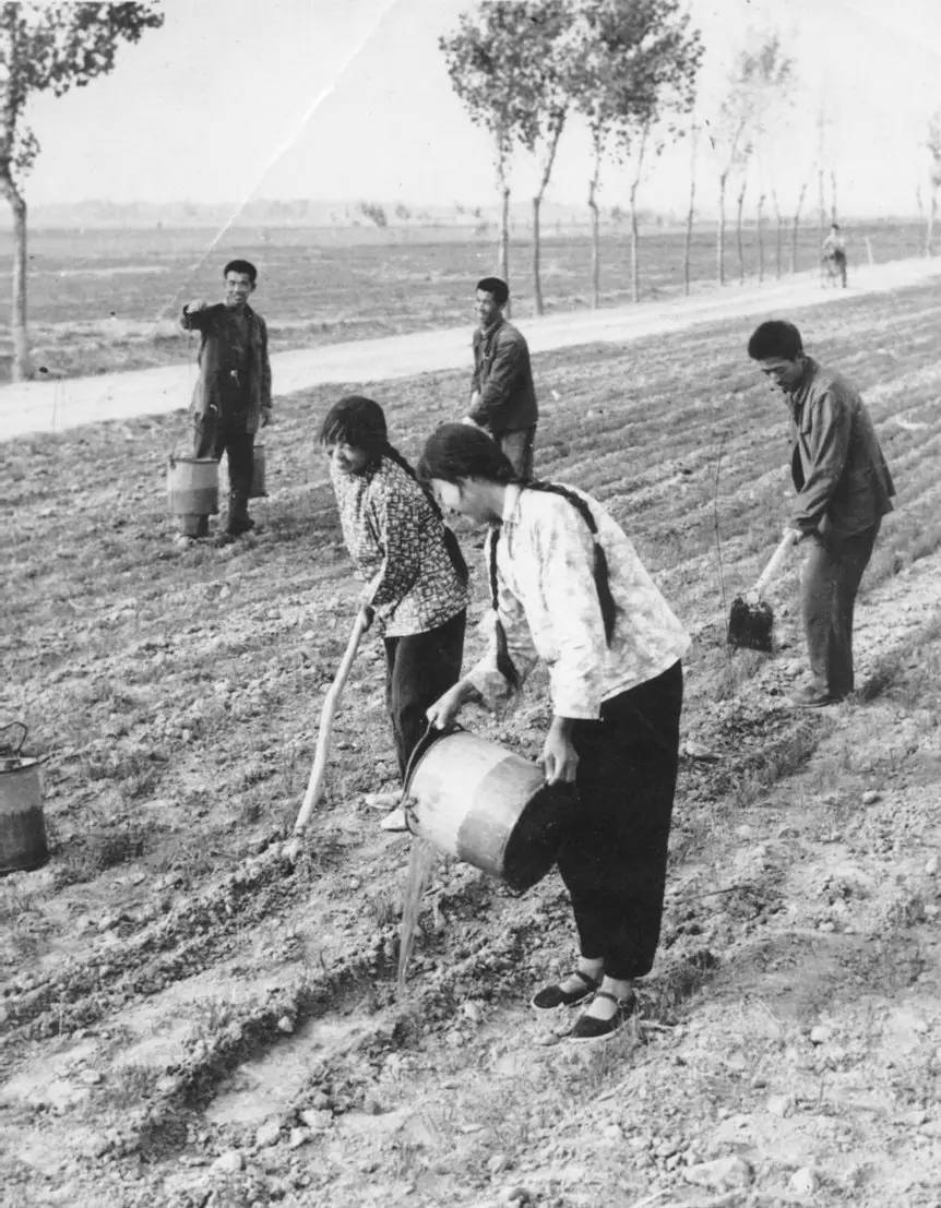 生产队集体劳动农业学大寨63年因洪水冲毁,修沙曹线,铺设碎砖路65年西