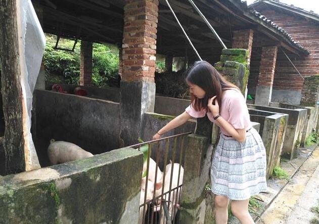 农村大姑娘杀猪图片