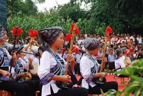 布依族有多少人口_预测要爆 罗平布依族 三月三 泼水节,动真格了