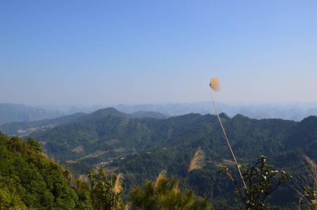 天等县岩林庄景区图片