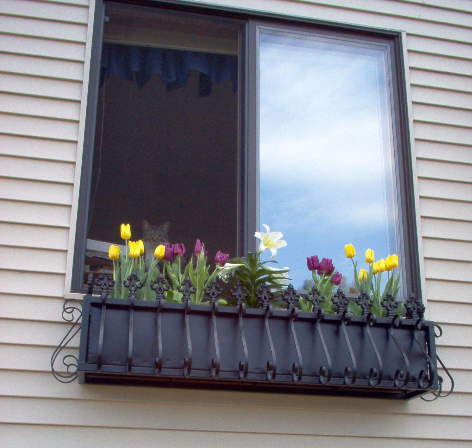窗台花架让美丽爬进你家