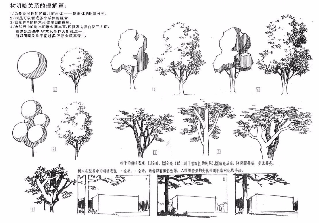 手繪如何畫好景觀植物