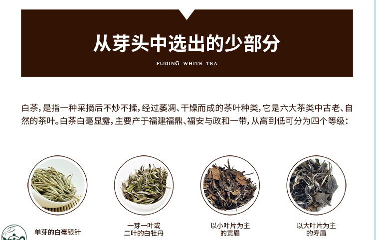 福鼎白茶种类图片