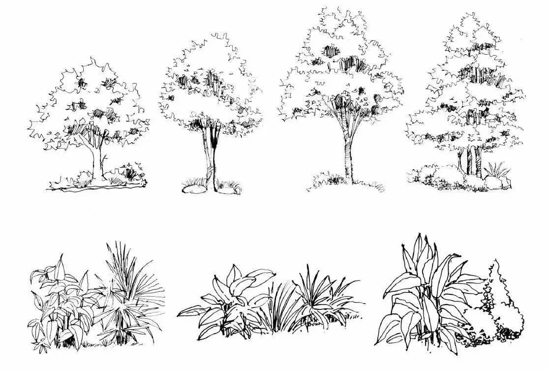 手绘植物风景图片