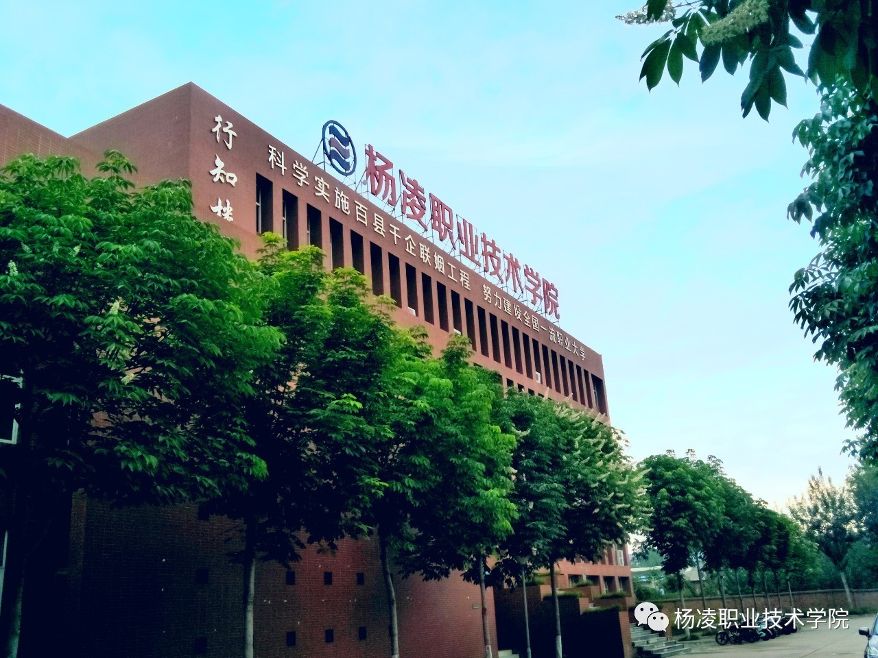 杨职夜话大学生活之最难忘的瞬间