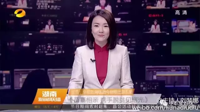 湖南卫视刘梦娜简历图片