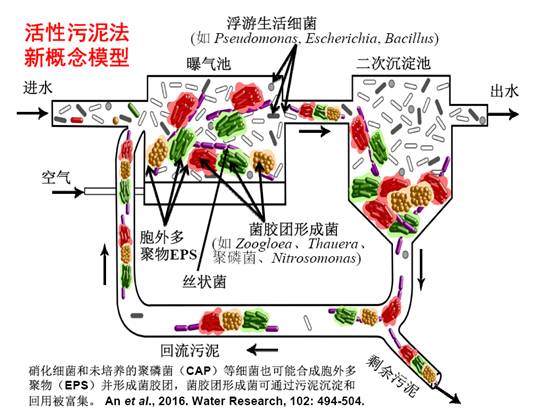 基于数学模型的活性污泥工艺优化设计