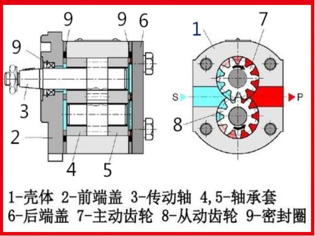 内啮合齿轮泵结构图图片