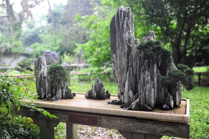 常州孟河斧劈石盆景园图片
