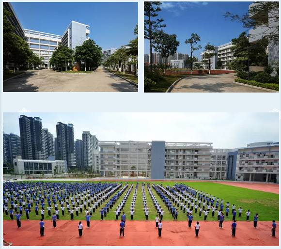 安庆新安中学图片