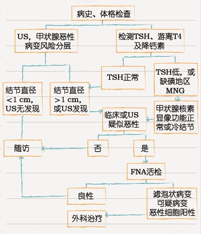 甲状腺知识宣传周发现甲状腺结节怎么办