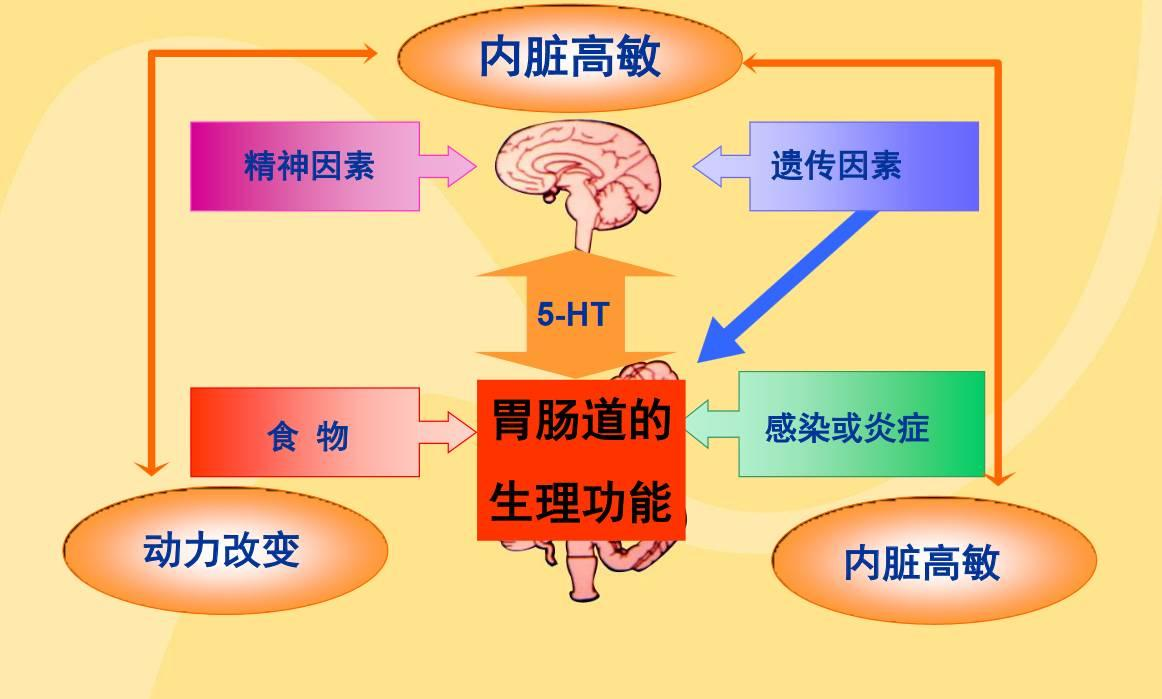 消化不良治疗原则_小儿功能性消化不良的临床诊断与治疗作用探讨_消化不良病例分析