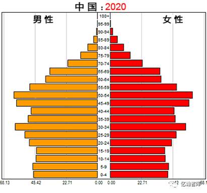 2020人口年龄结构图图片