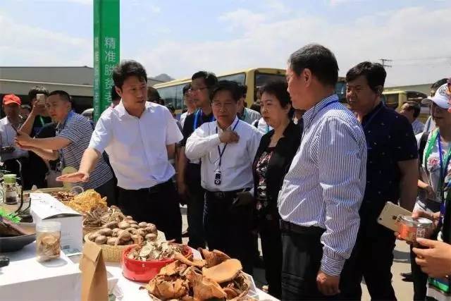 觀摩團到阜平縣現代食用菌產業核心園區觀摩 縣長劉靖陪同