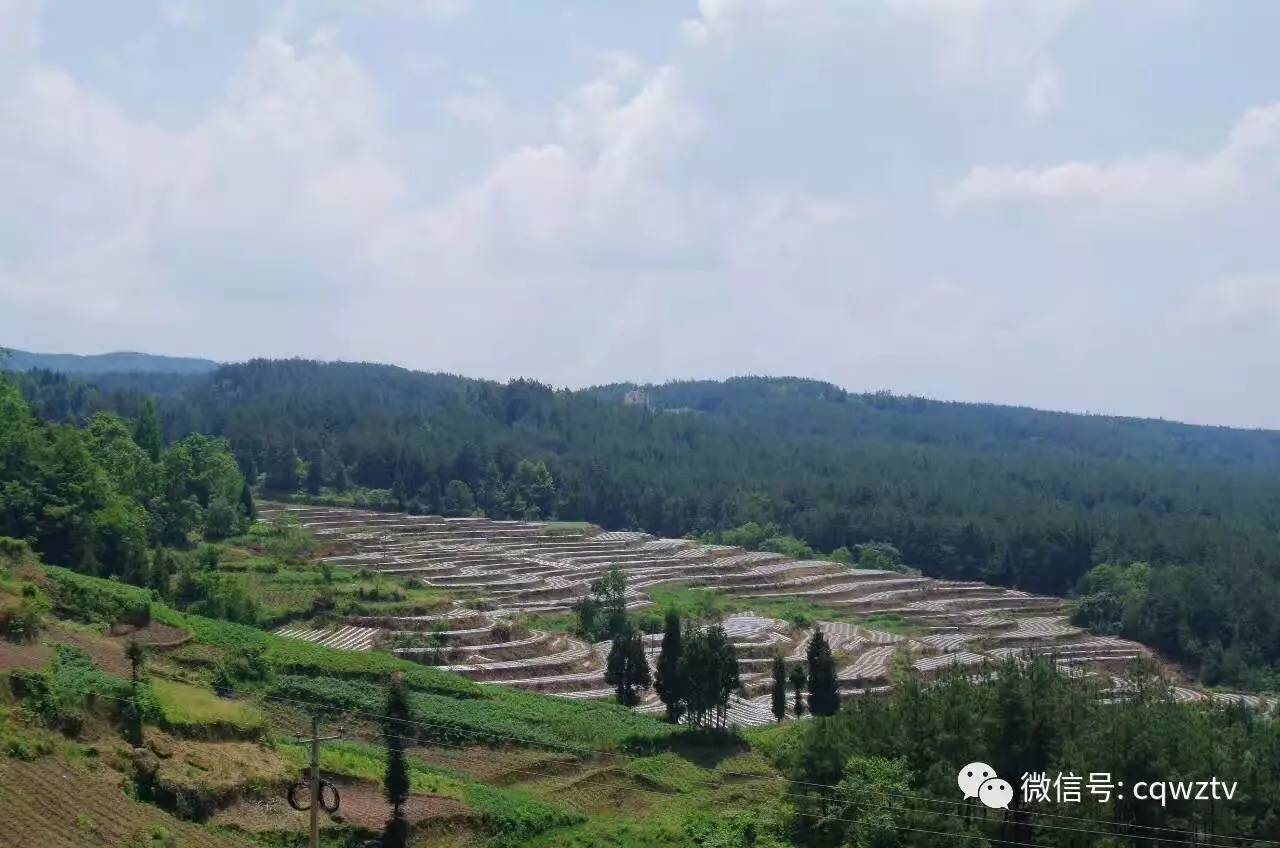 的朋友请往下看自驾游旅游路线1(从万州→龙驹镇→马头社区→罗田古