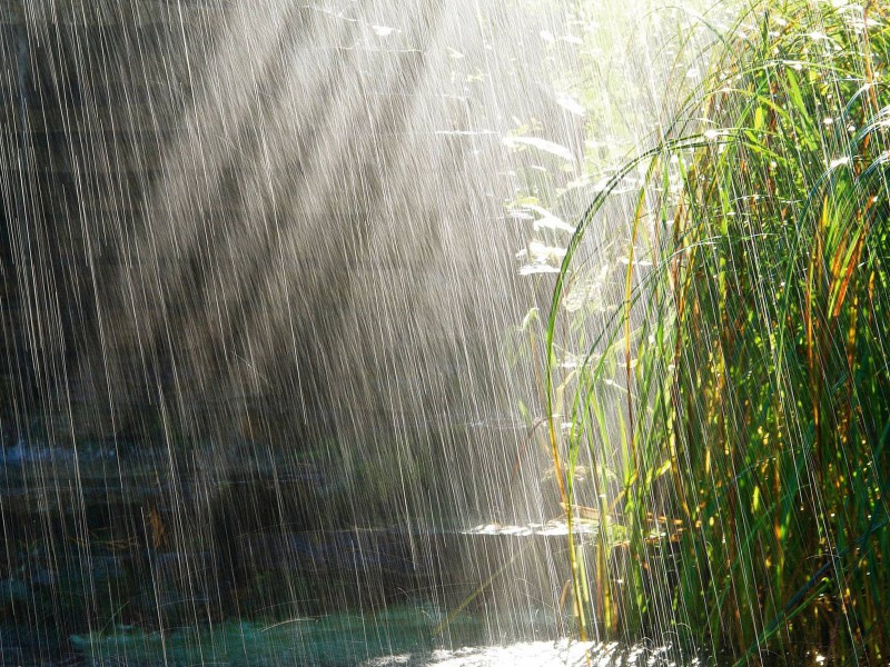 那些落在唐诗宋词里的夏雨