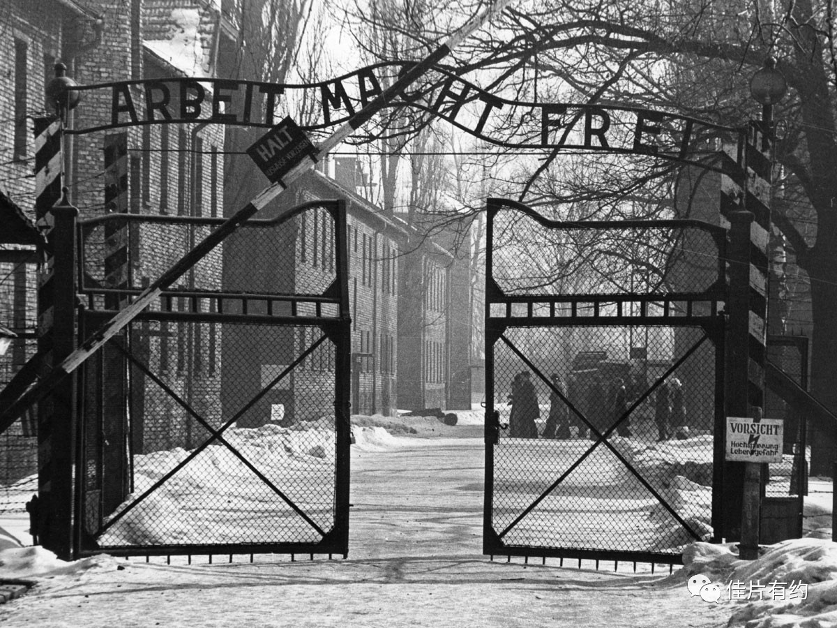 索尔之子:独特视角展现纳粹集中营