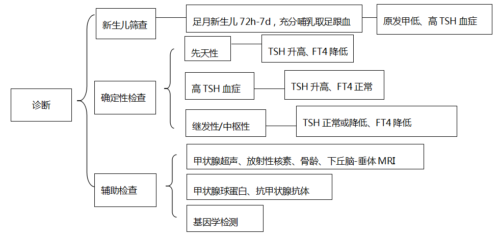 先天性甲低,是因为甲状腺激素产生不足或受体缺陷所致的先天性疾病