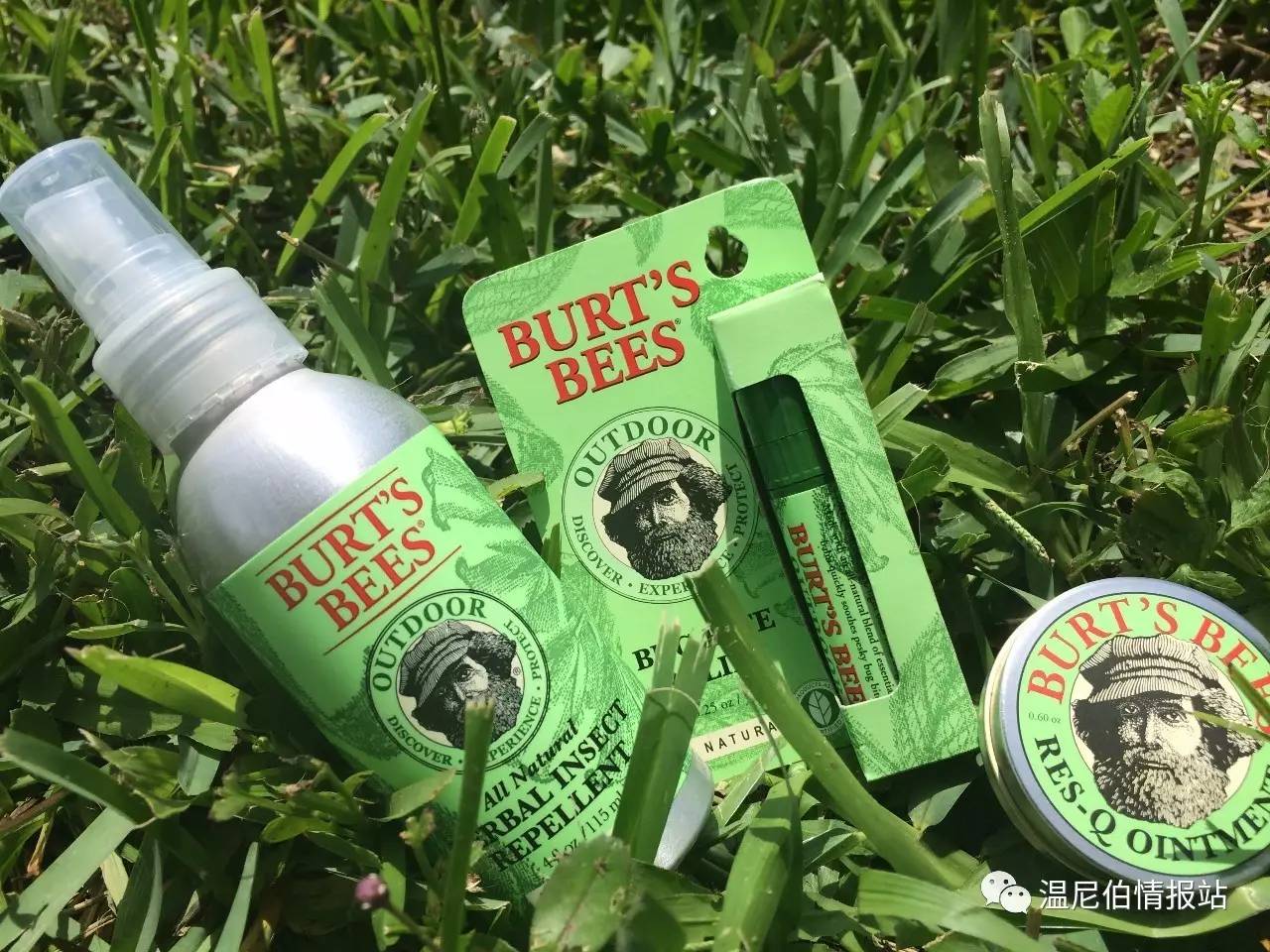 夏天蚊子咬了红肿发痒用什么药最好