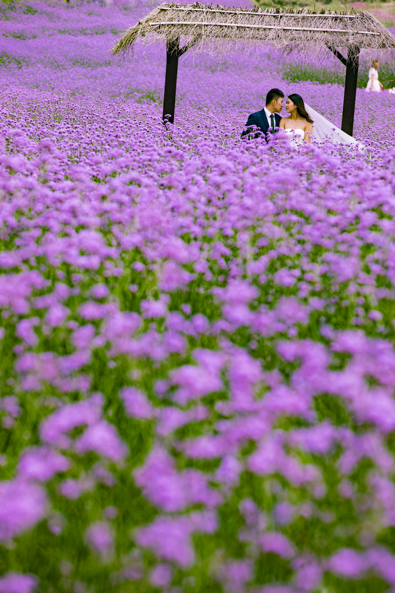 溧阳大石山湖光山色鸟语花香邂逅紫色花海