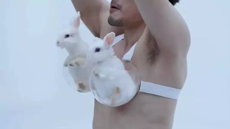 大白兔胸前图片