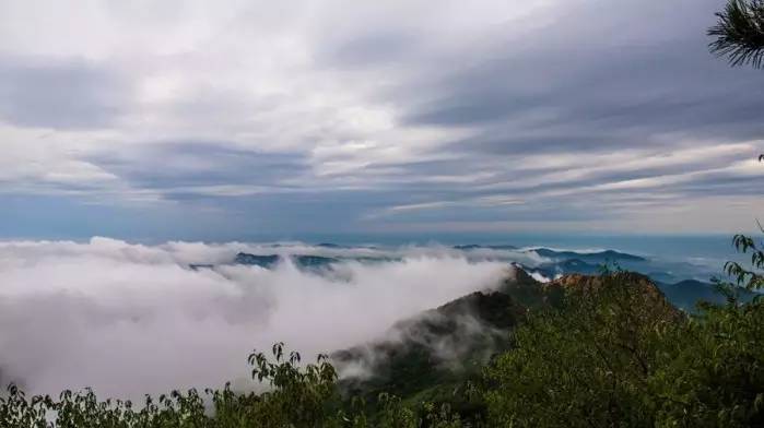 雲霧翻騰,如夢如幻!薊州區雨後雲海奇觀恍若仙境