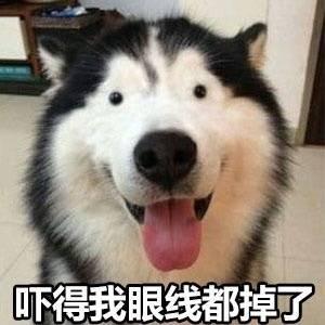 腾讯lol手游什么时候出