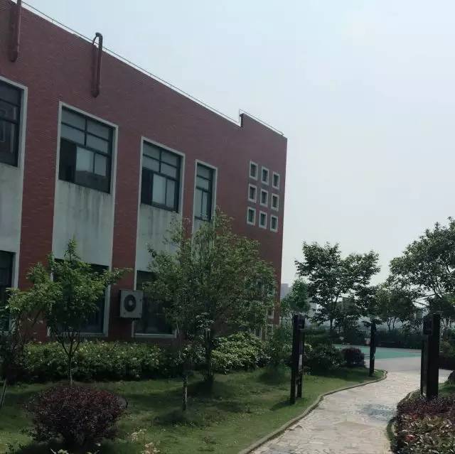 嘉善县惠民小学图片