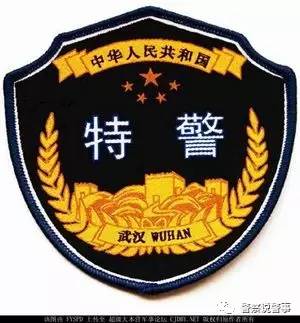 侦特警荣耀最全特警标志臂章图集