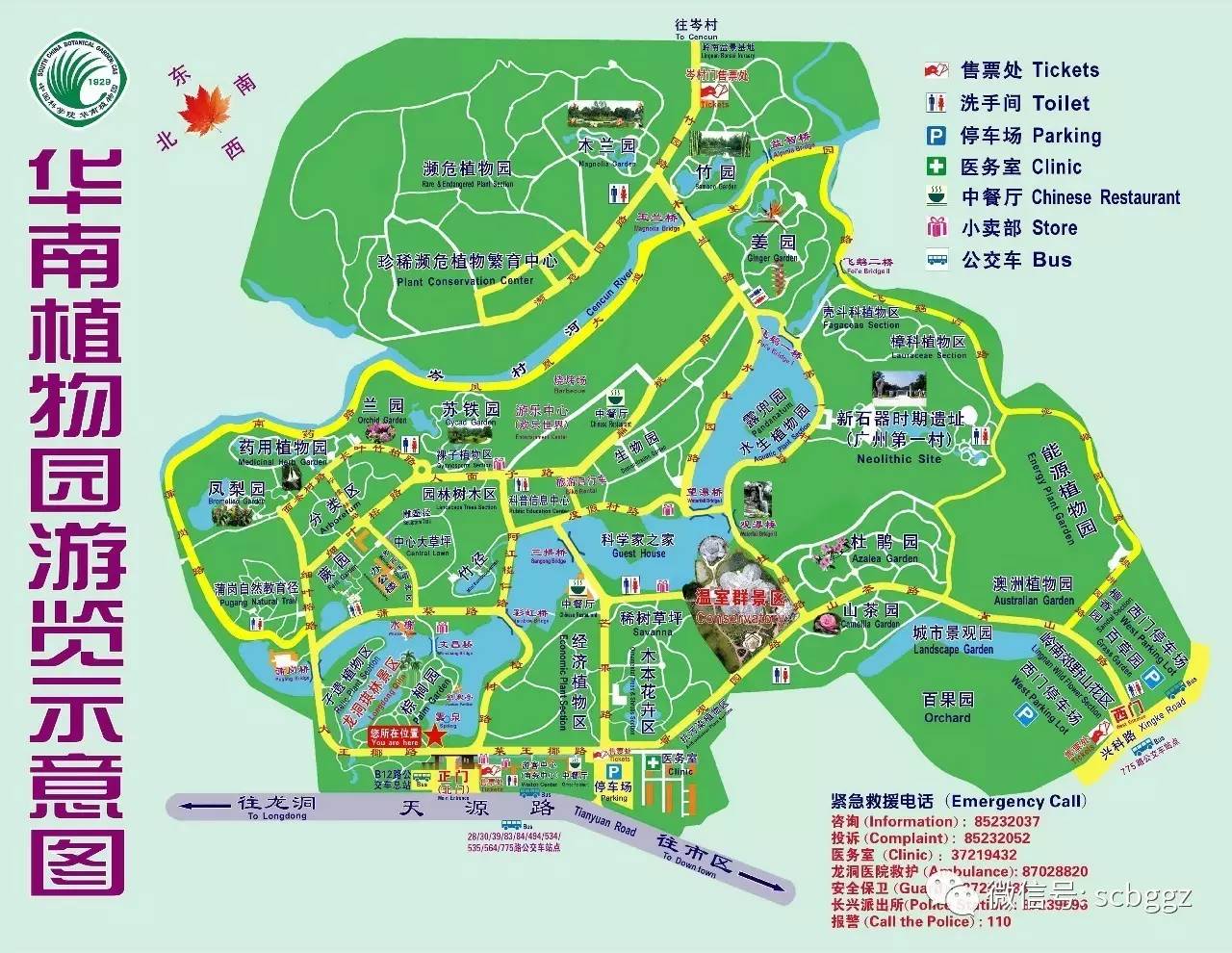 图片摄影:邓新华end中国科学院华南植物园都市里的森林,中国南方绿