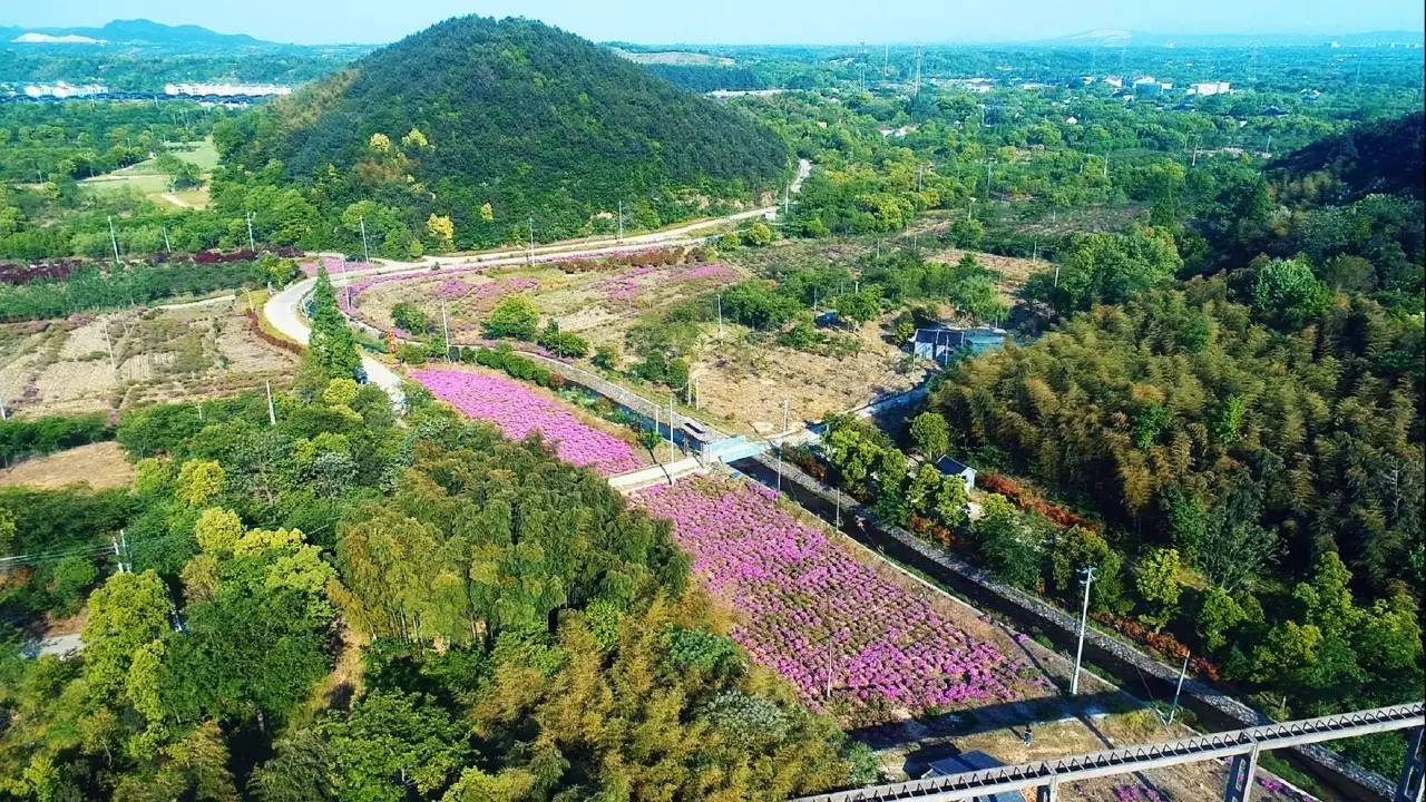 长兴泗安旅游景点图片