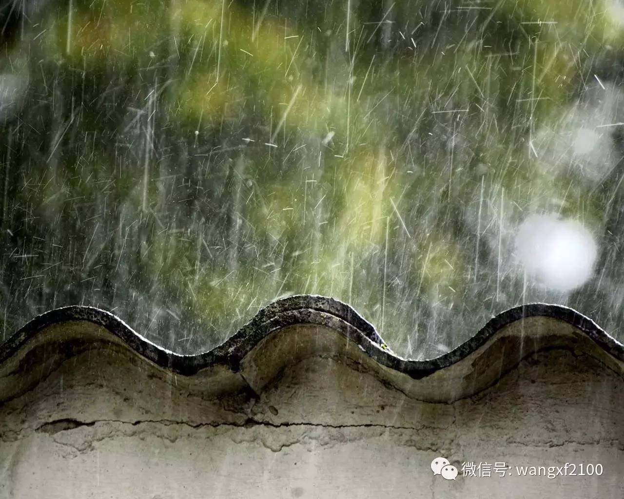 听雨 ? 煮雨