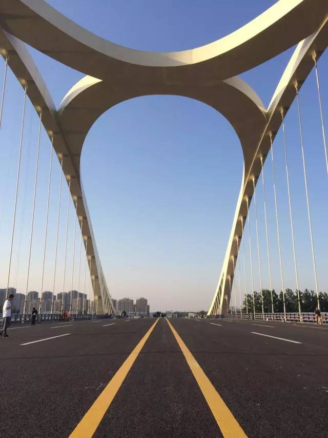 向阳路大桥图片