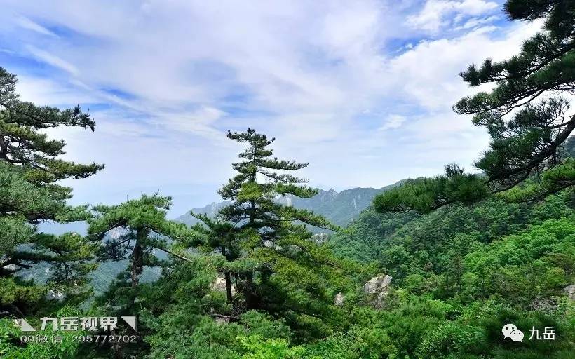 堯山景區的登山強度不算低,景區最高點玉皇頂海拔2153米,景交車將遊客