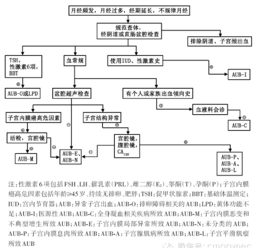 2 月经频发,月经过多,经期延长,不规律月经的诊断:流程见图2.