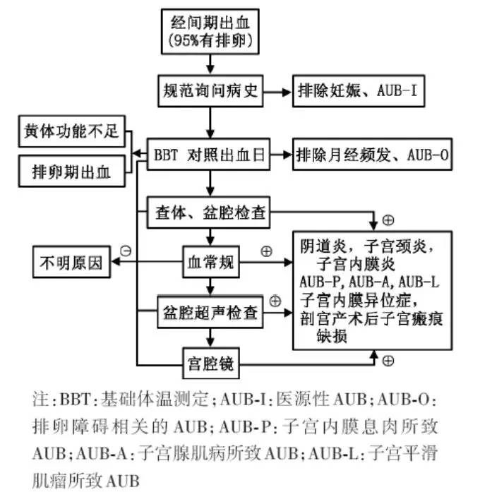 异常子宫出血诊断流程