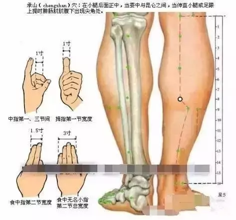 条口透承山手法图片