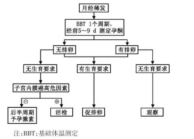 4 月经稀发:诊治流程见图4.