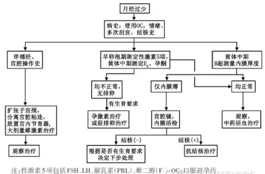 异常子宫出血诊断流程