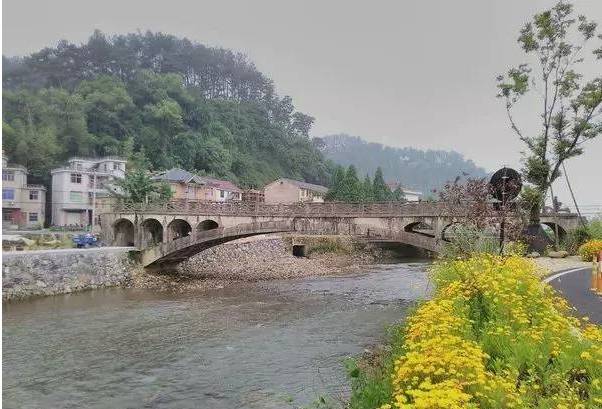 临岐镇仰韩村,千岛湖镇淡竹村,茂畈村,进贤村,宋家坞村,威坪镇