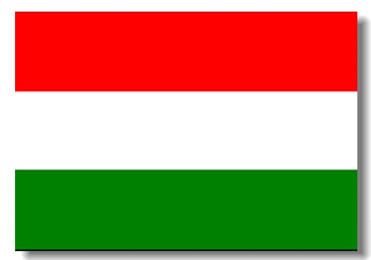 红白绿条纹的国旗也很常见,以上几个国家用的都是红白绿三个颜色