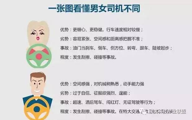 一张图看懂 男女司机开车的区别