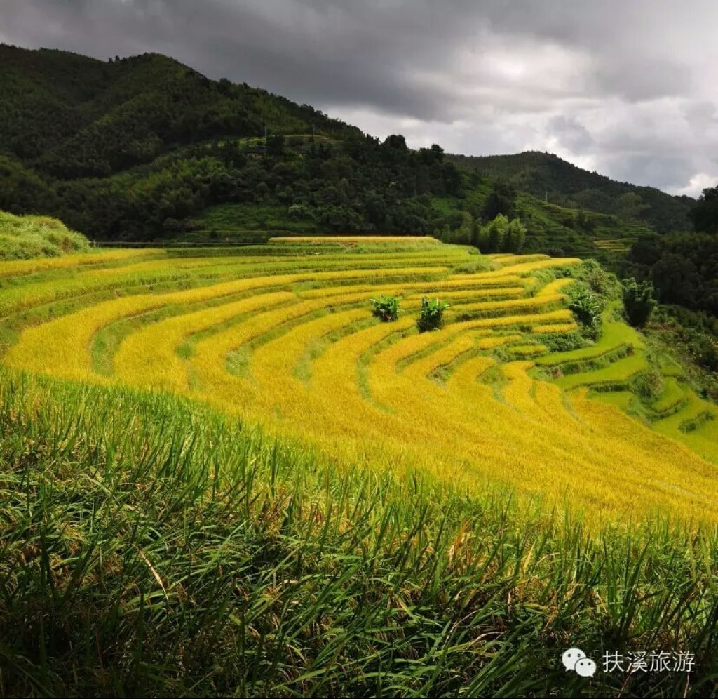 仁化最美乡村|扶溪下里社