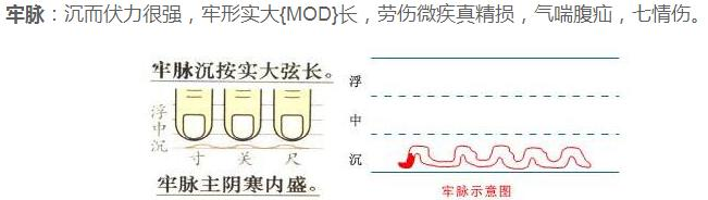 普通人都能学会的中医基础看图学把脉吧