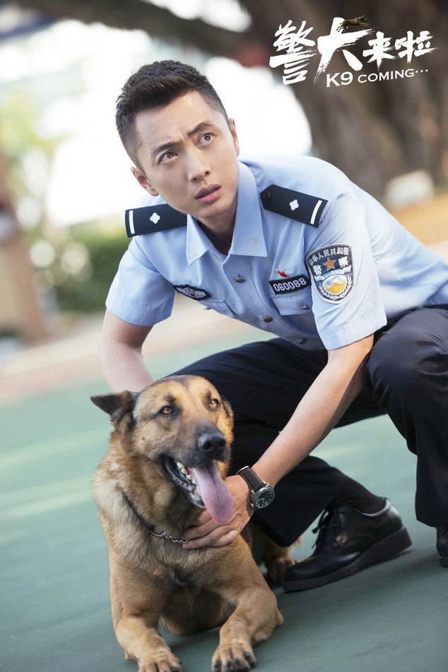 《警犬來啦》殺青 楊蓉賈景暉攜犬化身島上奇兵